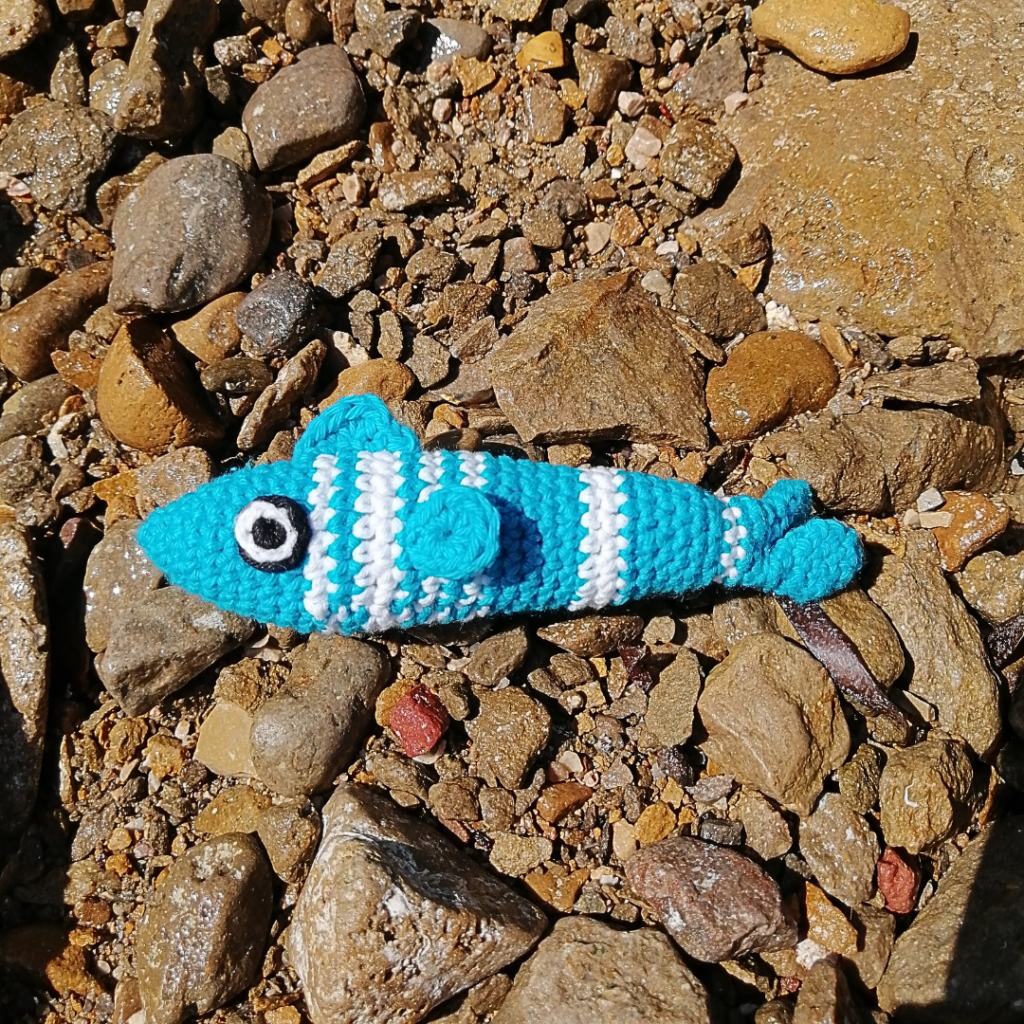 Sardines_ambiance_2