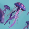 Chrysaora hysoscella – Image 2