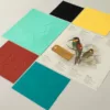 Mérops apiaster – Image 6
