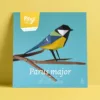 Parus major