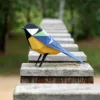 Parus major – Image 2