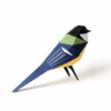 Parus major – Image 6