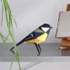 Parus major – Image 3