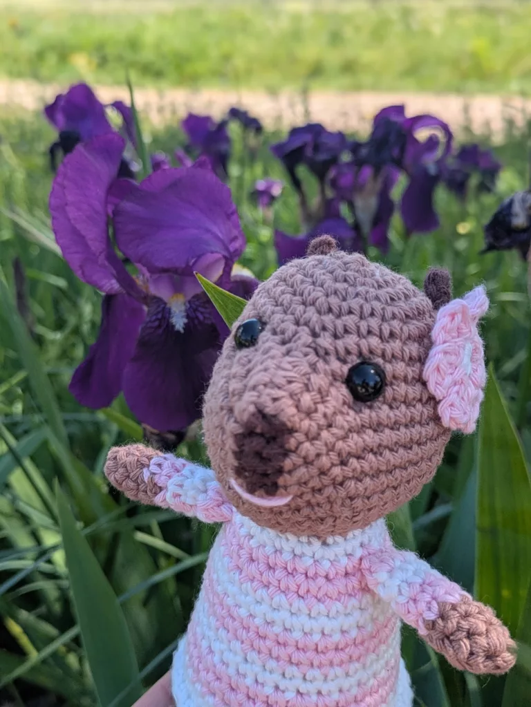 Kit de crochet DIY Rosa le Capybara, amigurumi fait main création Kakapo Store Marseille.